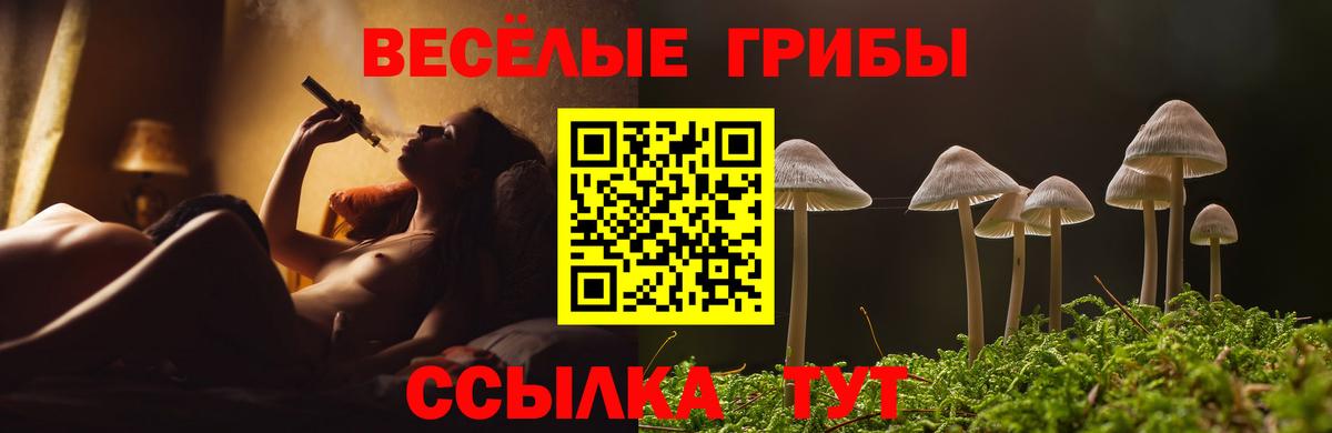 Псилоцибиновые грибы MAGIC MUSHROOMS  купить наркотики цена  Торжок  Галлюциногенные грибы MAGIC MUSHROOMS  Вход с VPN 